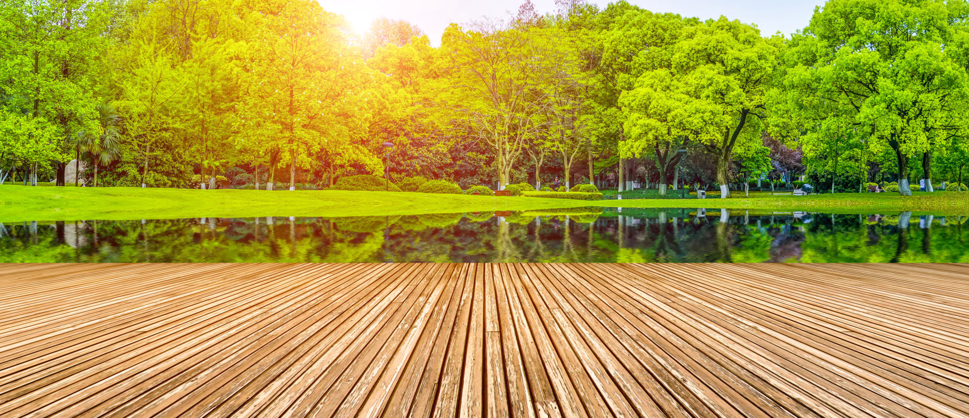 wood floor and green forest